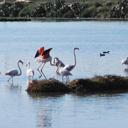 B&B Mare Di Augusta La Finestra Sul Porto المظهر الخارجي الصورة