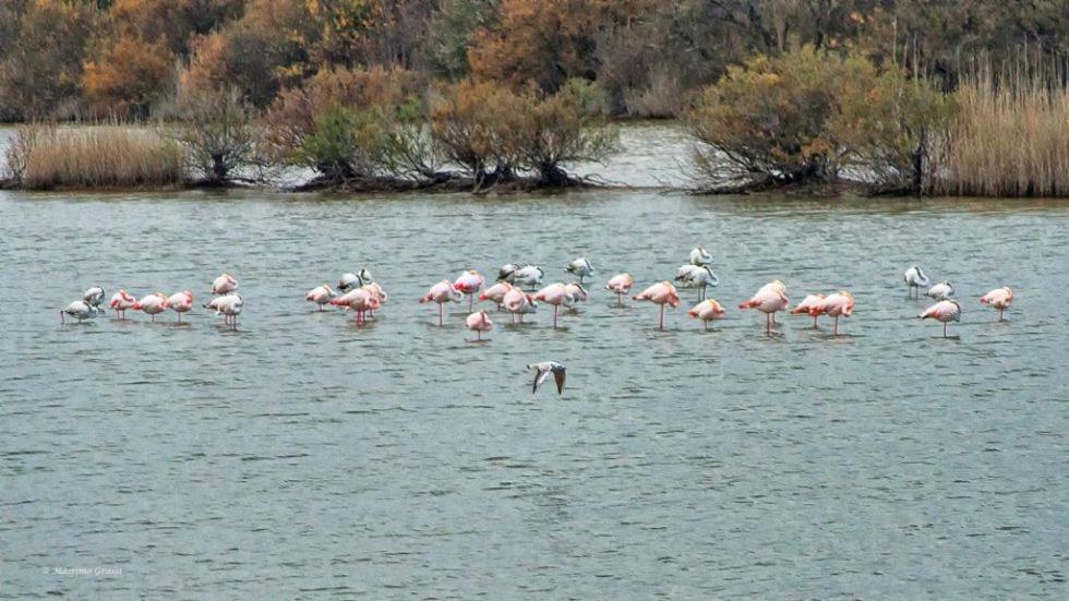 B&B Mare Di Augusta La Finestra Sul Porto المظهر الخارجي الصورة